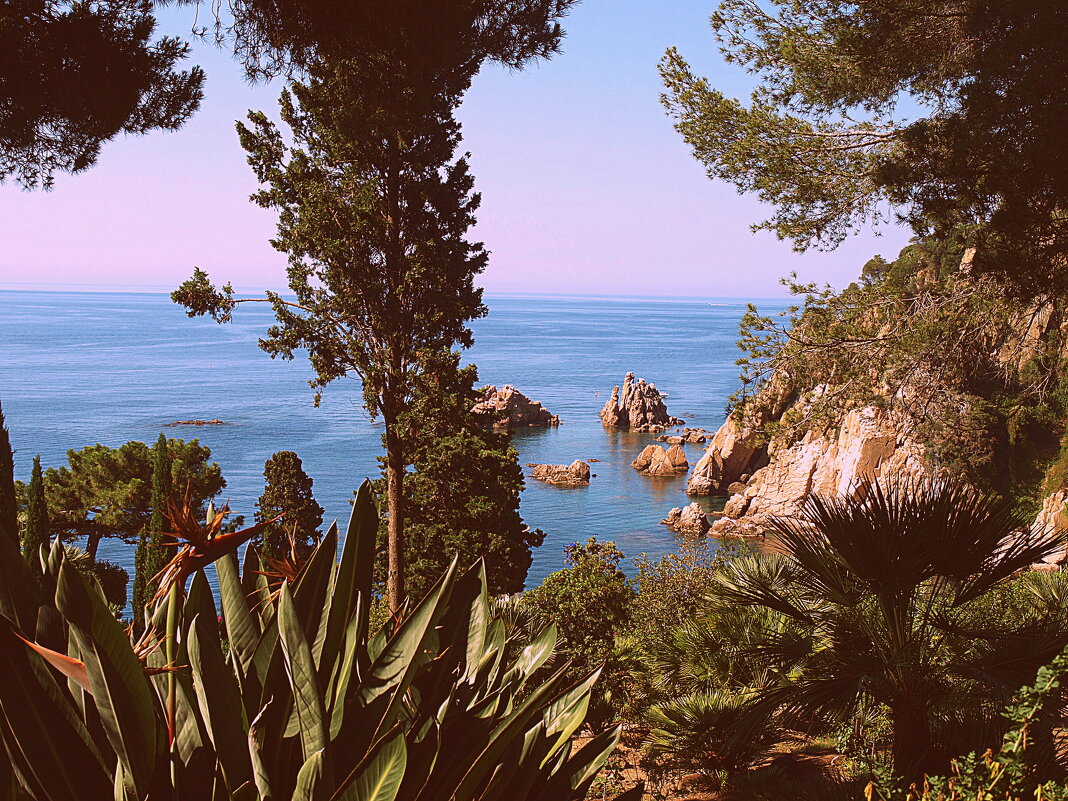 Барселона. - Владимир Драгунский Барселона. - Владимир Драгунский