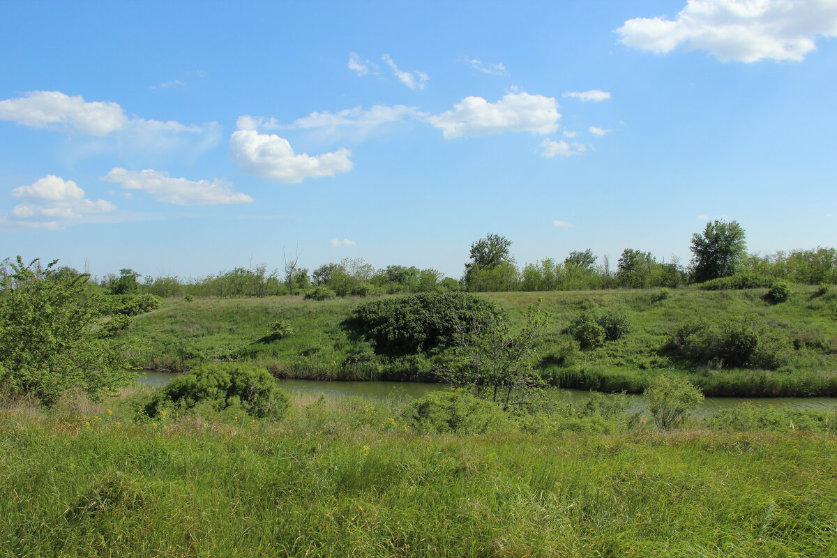 В степи. - Виктор 