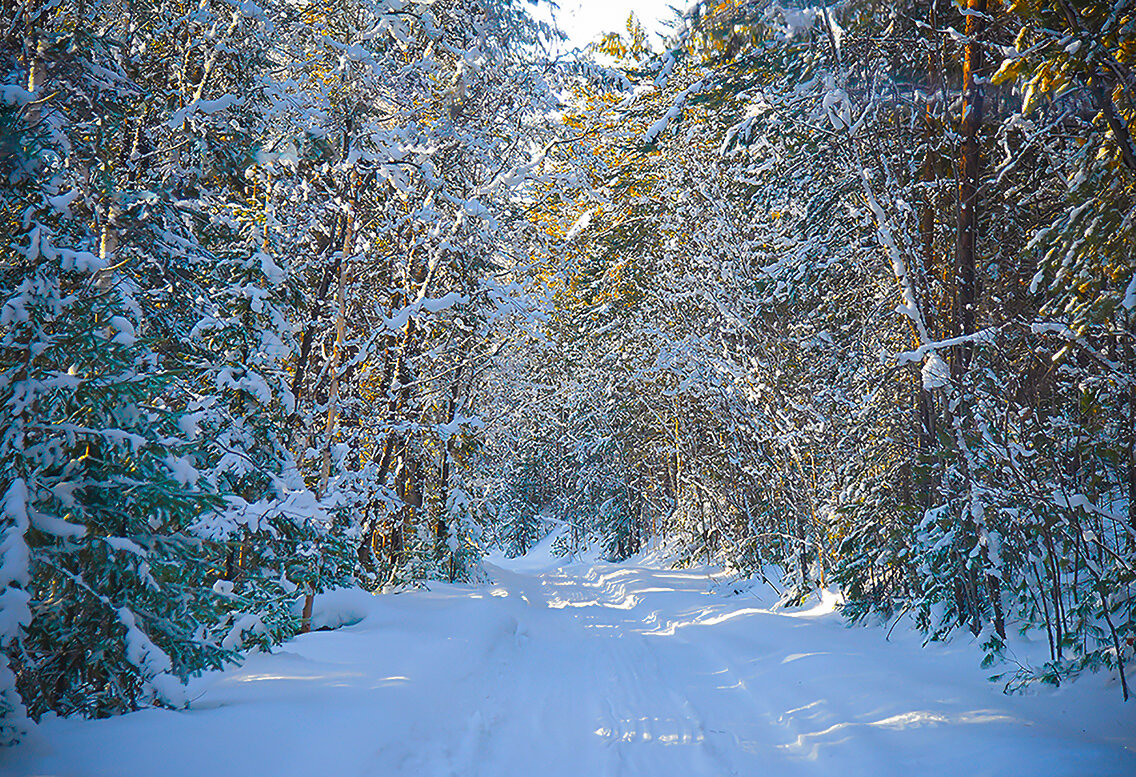 Дорога в таёжные тайны. - юрий Амосов