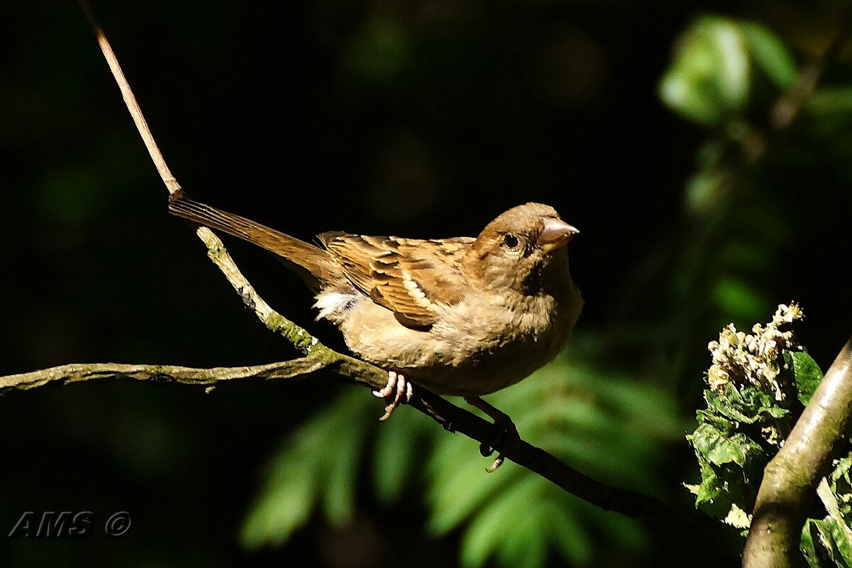 Тоже моё - kolyeretka Тоже моё - kolyeretka