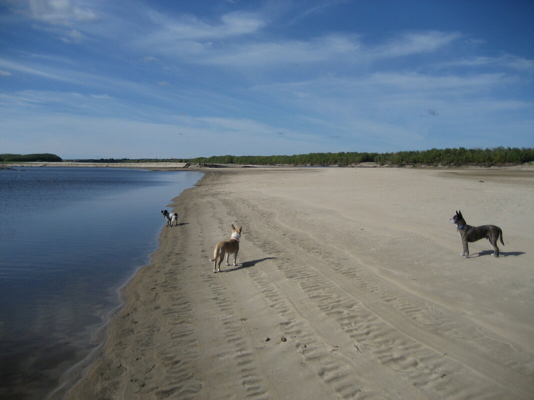 Лето - Anna Ivanova Лето - Anna Ivanova