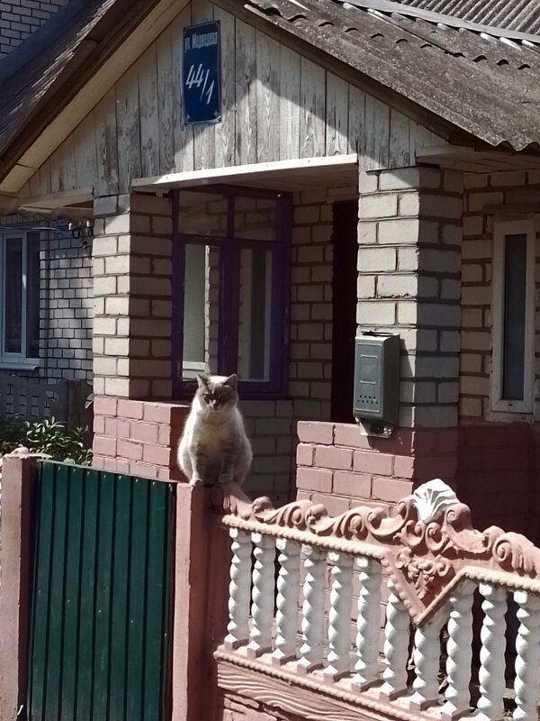 *** - Валентина Береснева