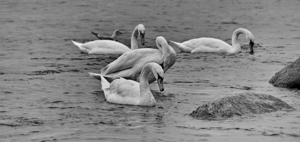 На Балтийском море - Анастасия Смирнова