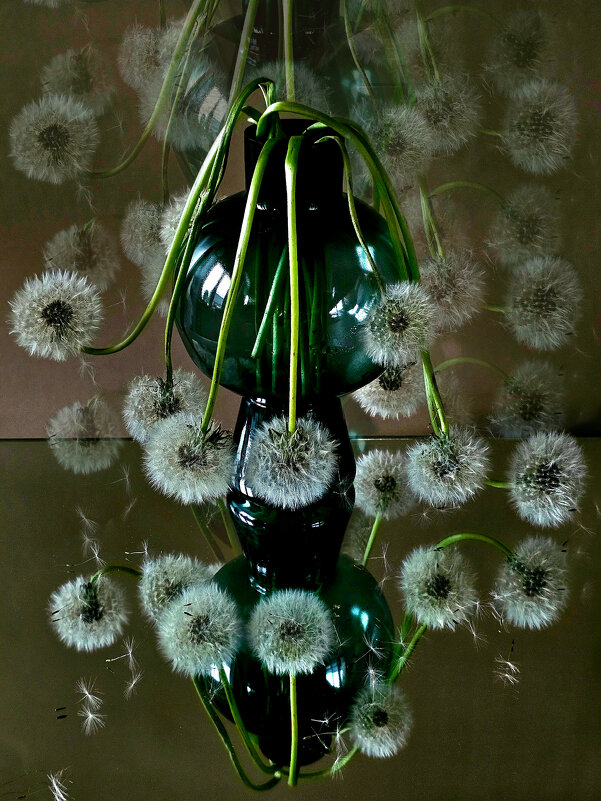 Фото арт - Галина Левина Фото арт - Галина Левина