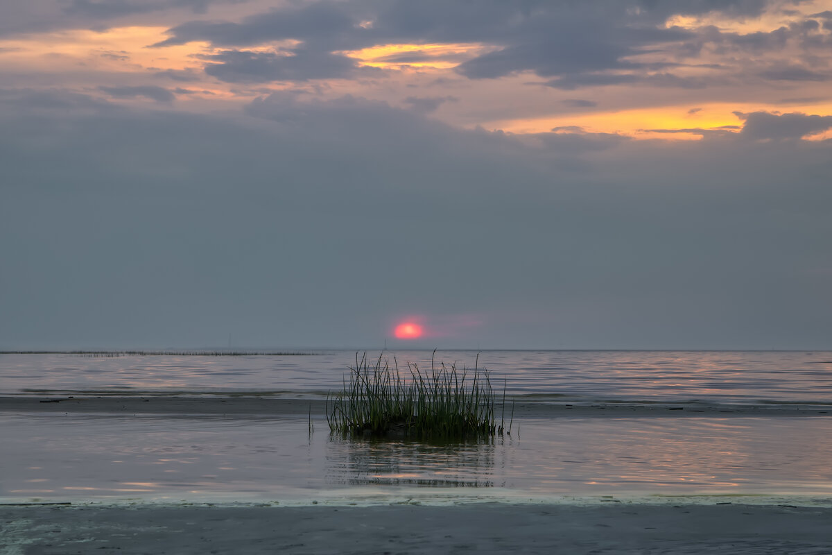 Про Питер - Владимир Колесников
