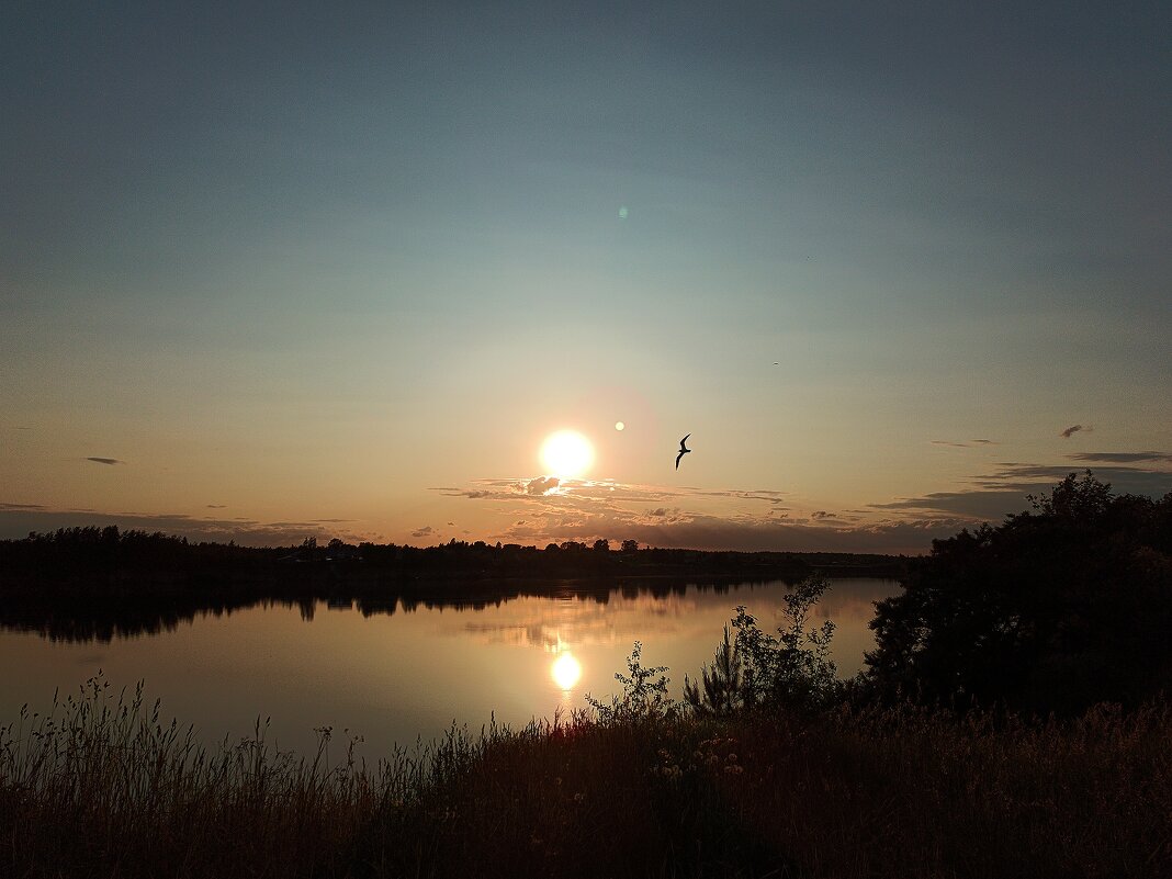 Летний вечер - Андрей 