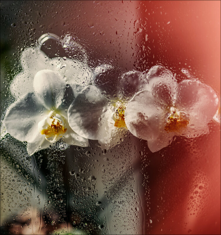 ... - Елена Демидова 