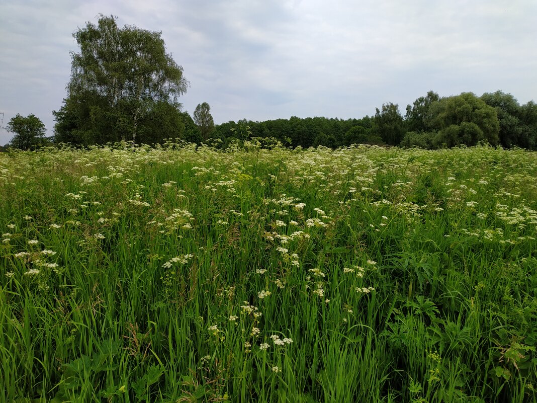 День России. Для меня Россия такая - Андрей Лукьянов День России. Для меня Россия такая - Андрей Лукьянов