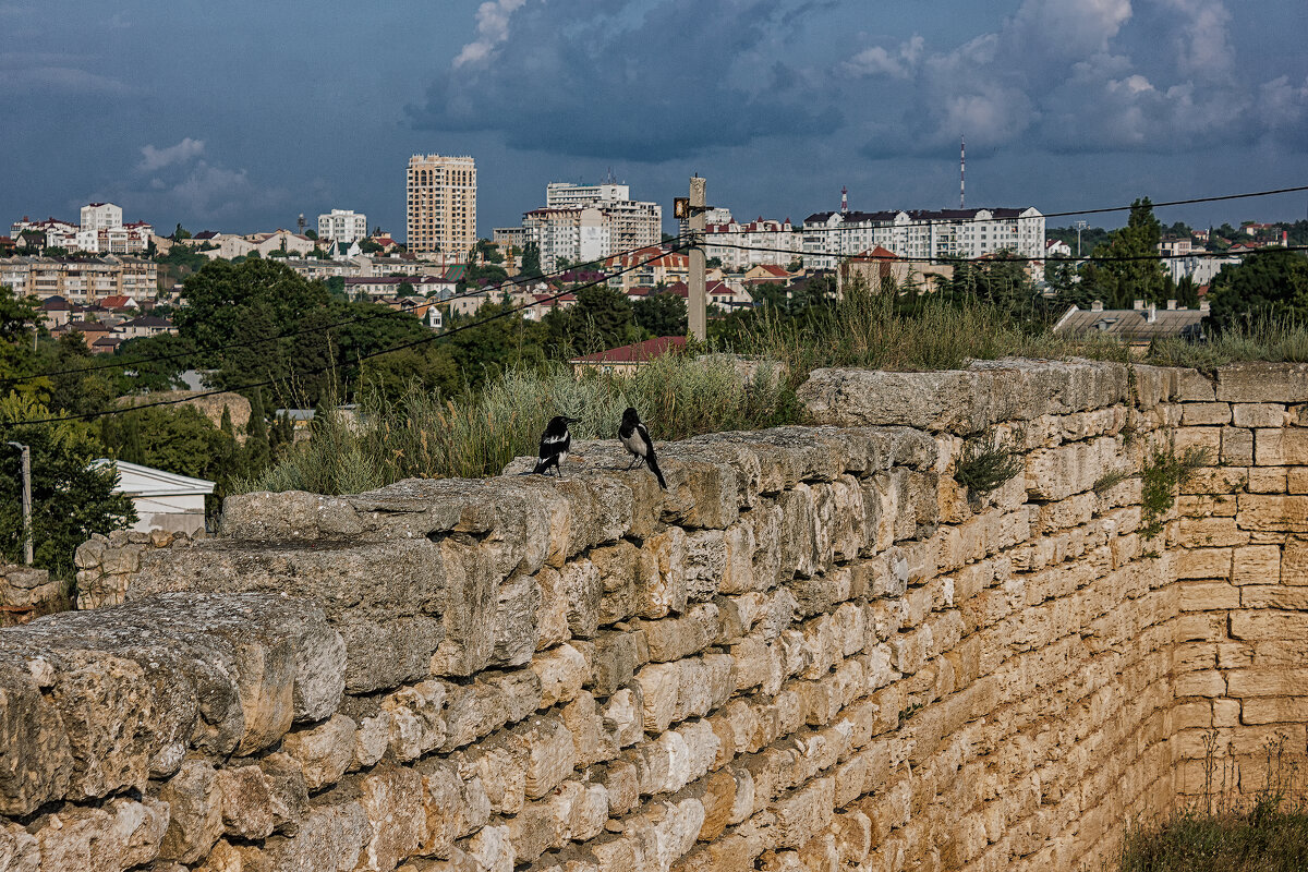 На грани времён - Дмитрий Костоусов