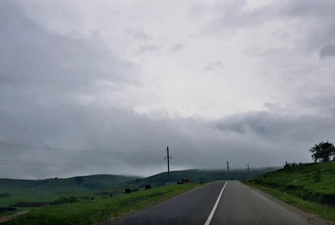 ПУТЕШЕСТВИЕ - Tata Wolf