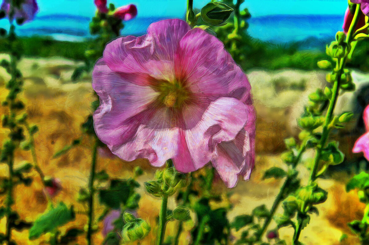 Мальва - Анатолий Чикчирный