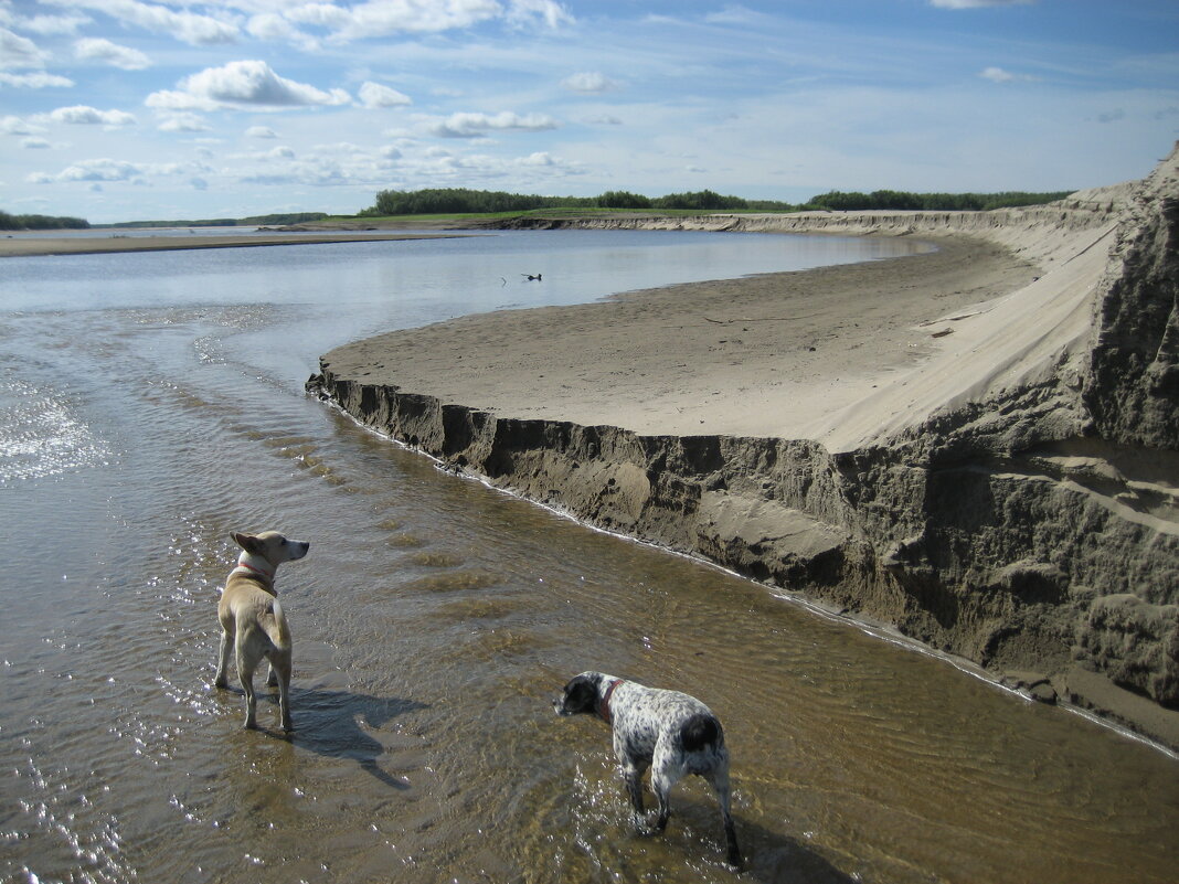 Лето - Anna Ivanova