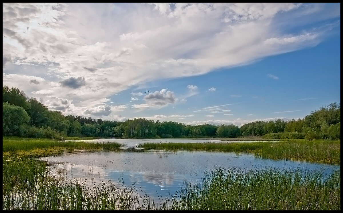 Голубой залив - **** vedin Голубой залив - **** vedin