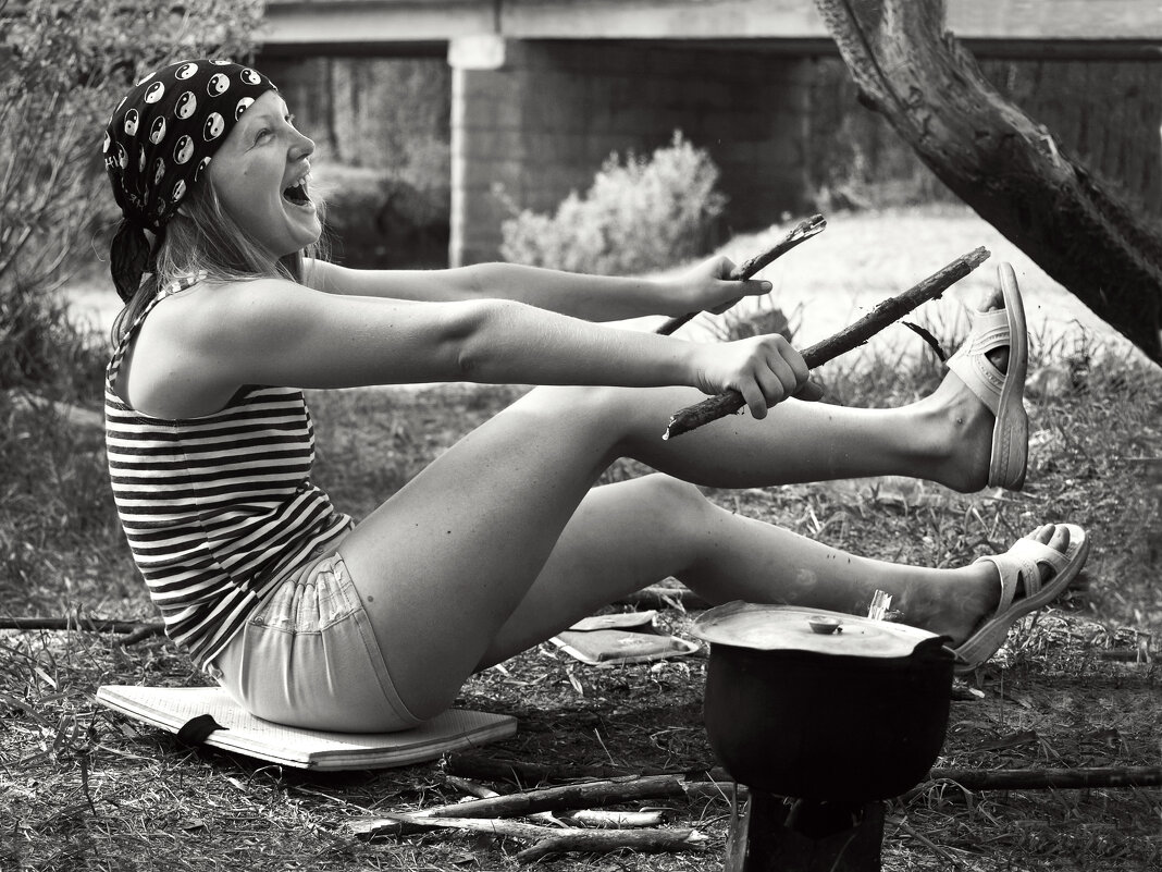 Дровишки - СЮ 