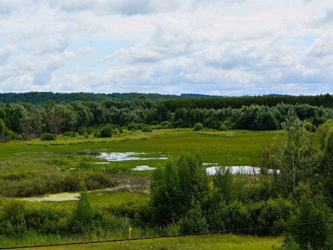 Ядрин. Болотистая местность в пойме озера Сергач. - Пётр Чернега