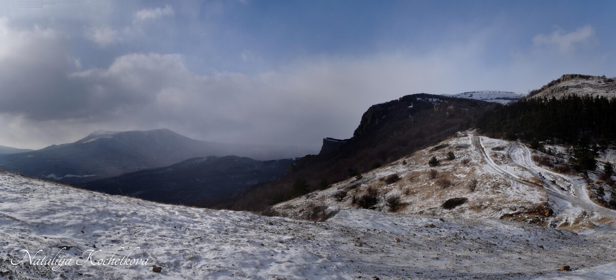 Природа Крыма - Amazing Cosmea Природа Крыма - Amazing Cosmea