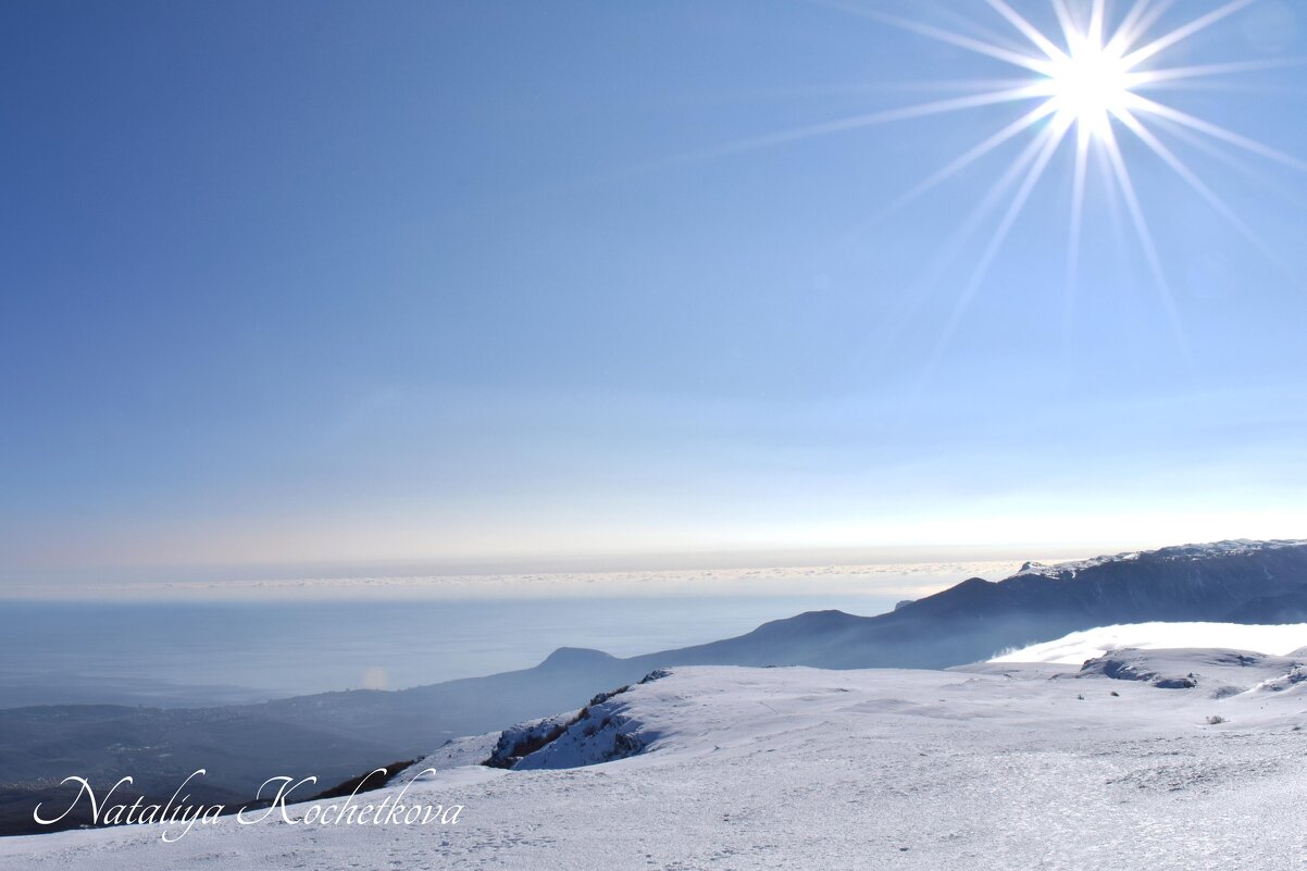 Природа Крыма - Amazing Cosmea