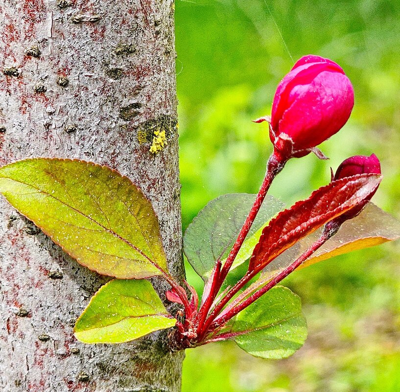 Одна - Михаил Свиденцов
