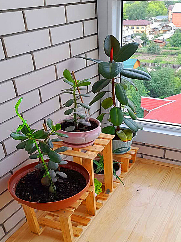 В лоджии - Алевтина В лоджии - Алевтина