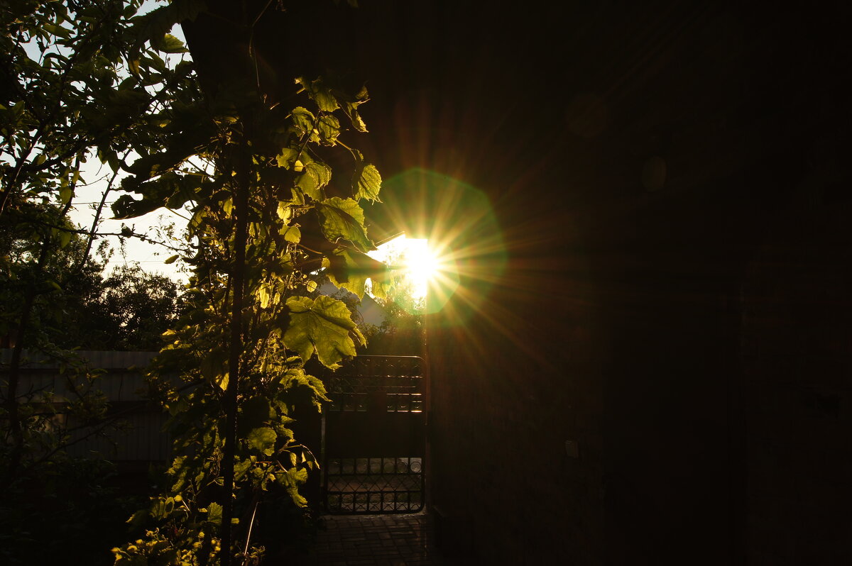 Блик солнца - Глеб 