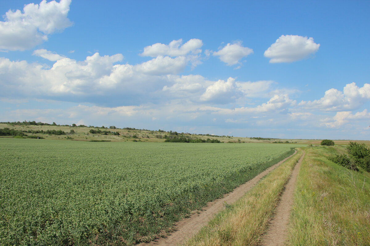 Мои дороги. - Виктор Мои дороги. - Виктор