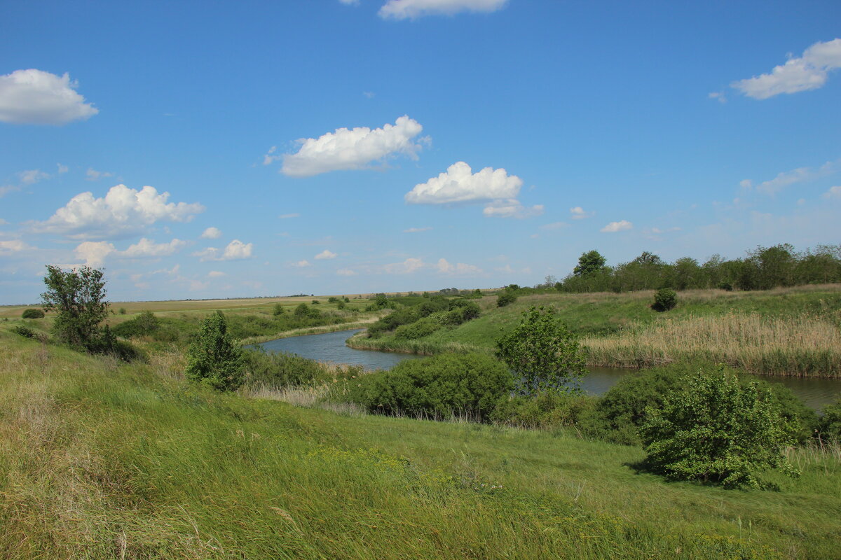 Местная река. - Виктор Местная река. - Виктор