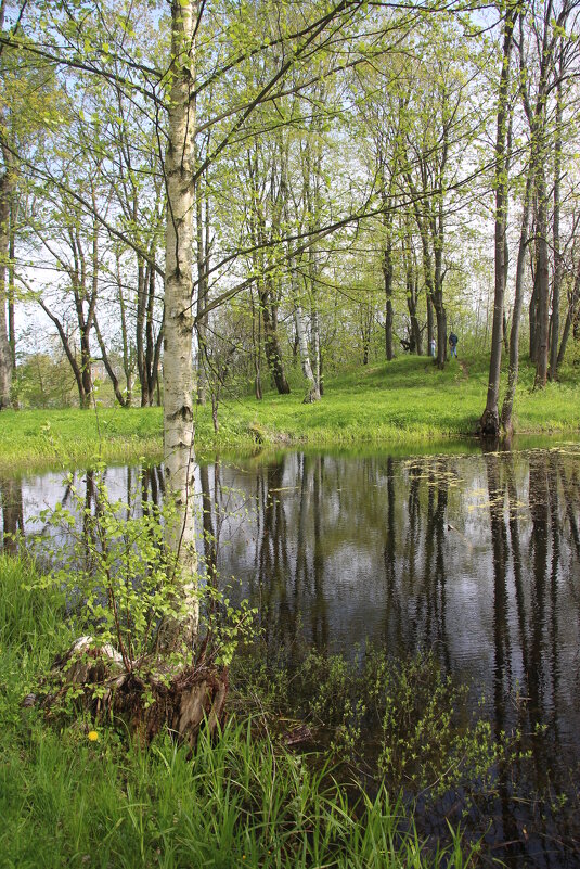 Стрельна. Орловский парк - Наталья Герасимова