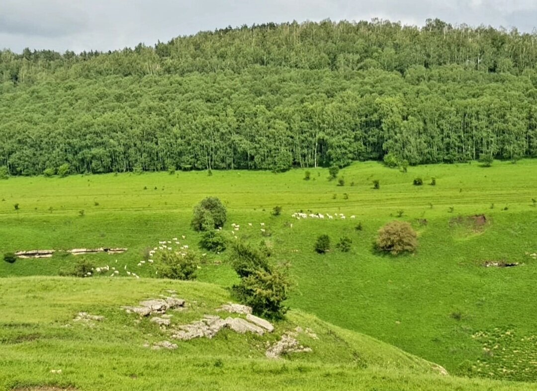 Баксанское ущелье. - Tata Wolf