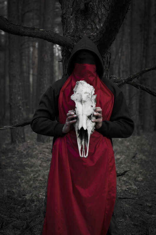 Енарей... - Римский Шершень Hornet