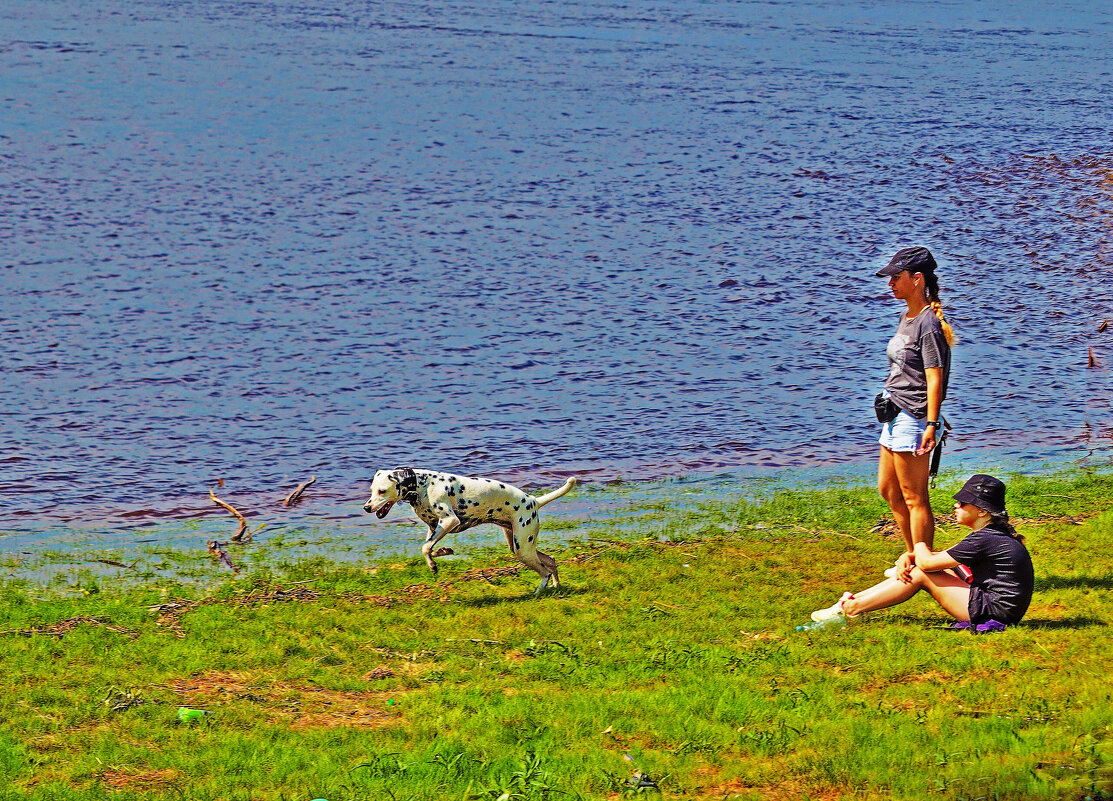 Июнь...Летние каникулы у реки! - Владимир 