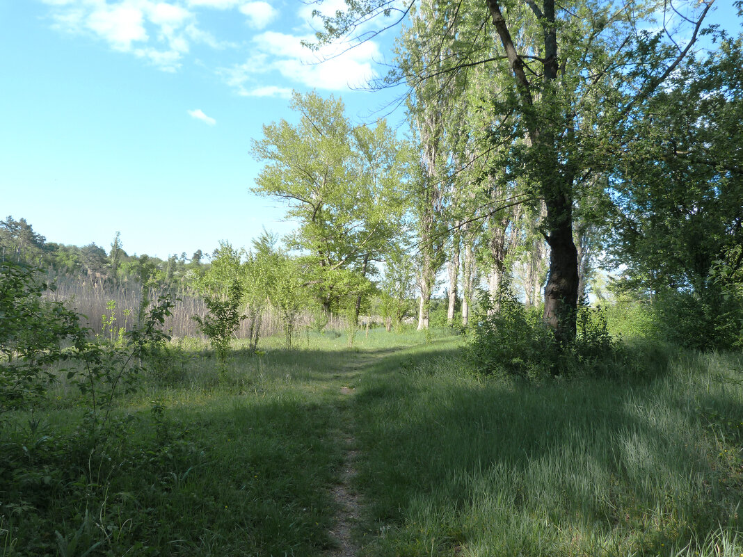 Природа Крыма - Валентин Семчишин