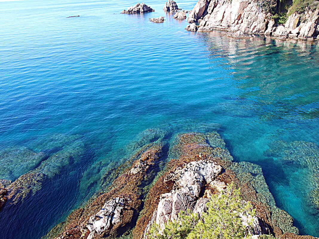 Барселона. - Владимир Драгунский