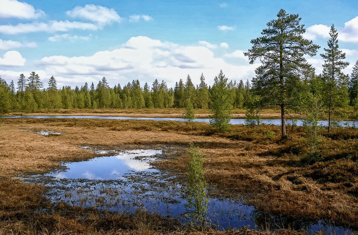 *** - Aleksey Afonin *** - Aleksey Afonin