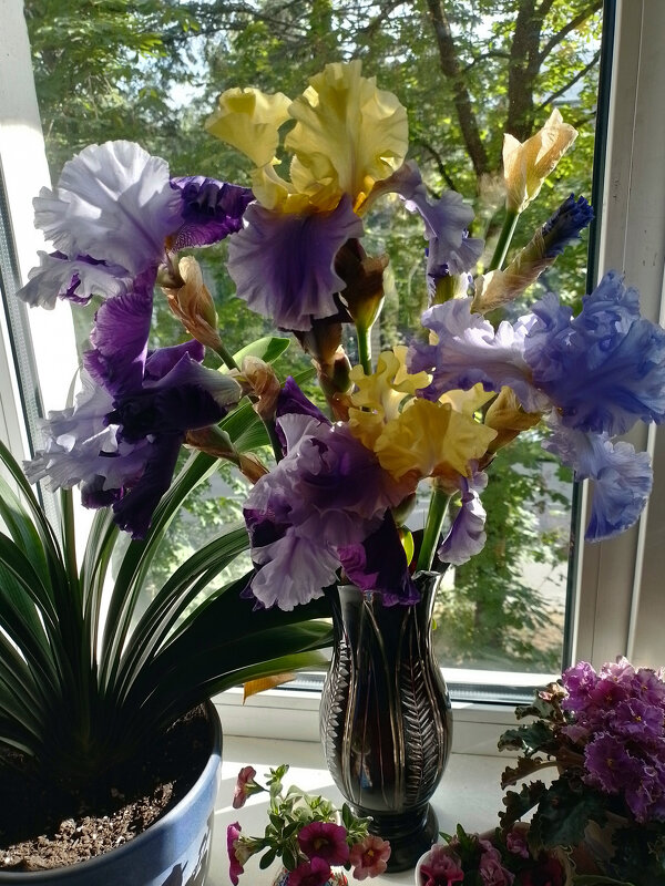 *** - Валентина Береснева