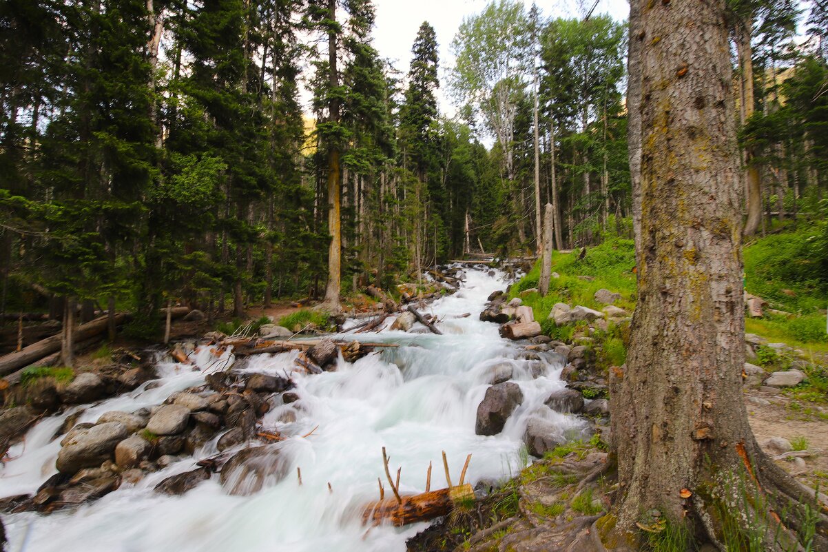 Малые реки КЧР - Evgeny Mameev