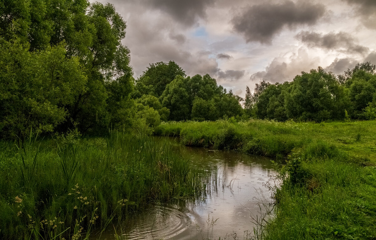 Летний дождь - Андрей Дворников