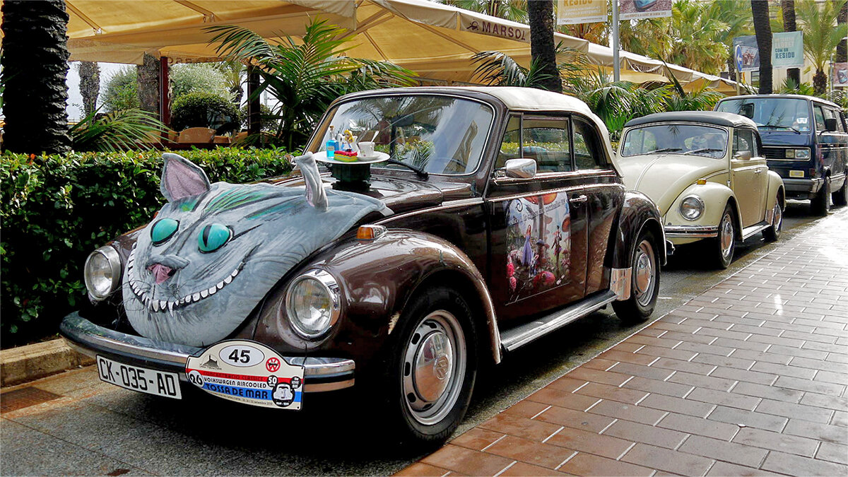 На смех и удивление - Alexandеr P