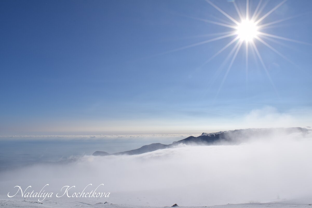Природа Крыма - Amazing Cosmea