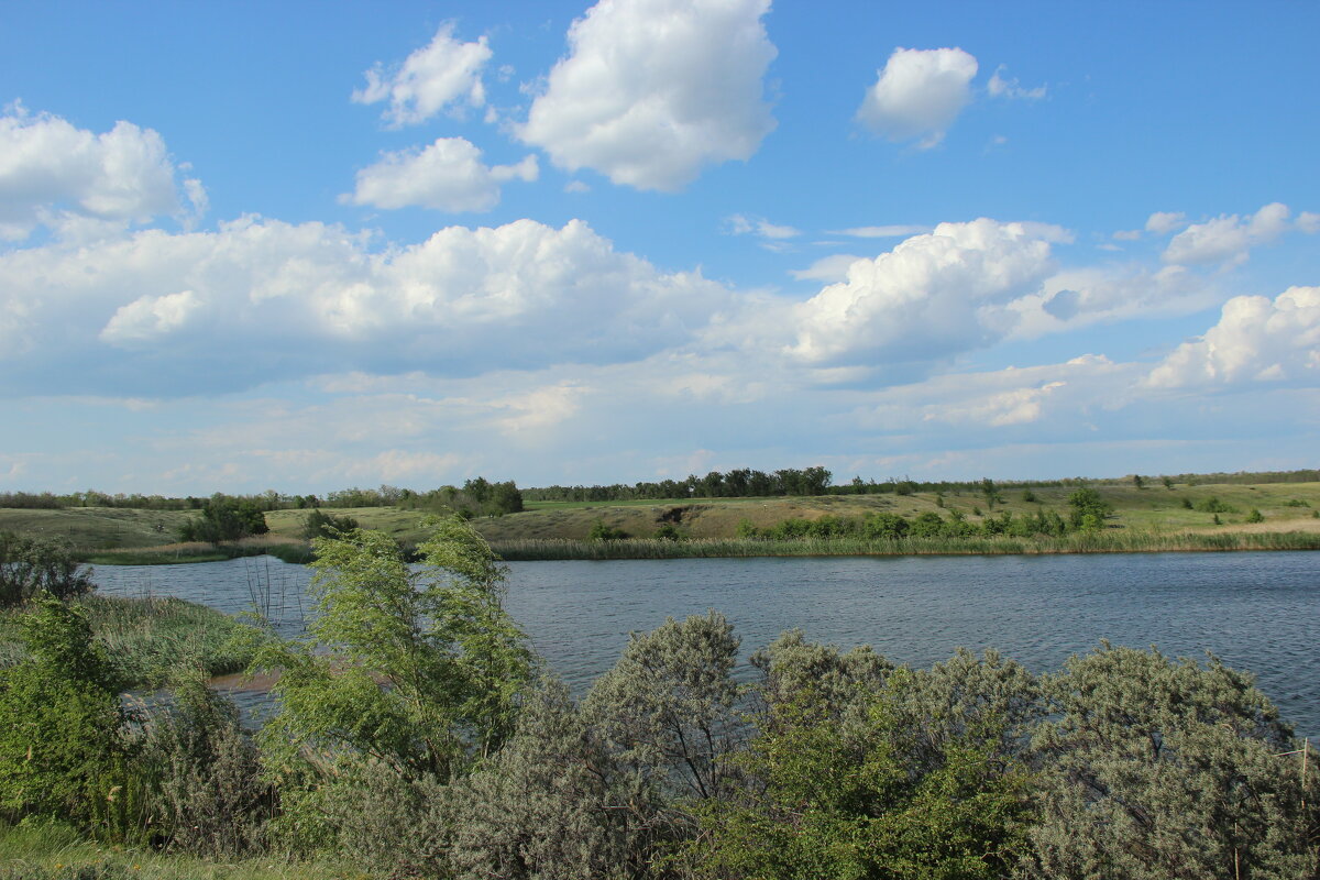 У пруда. - Виктор 