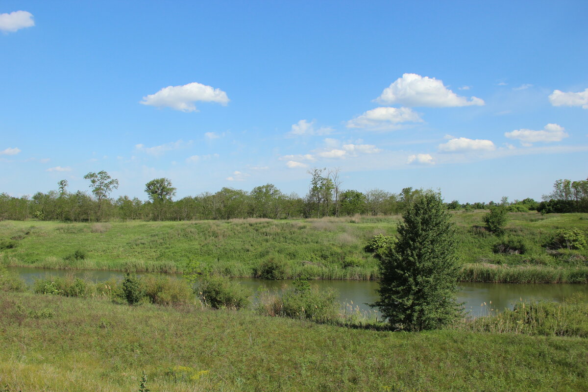 У реки. - Виктор 