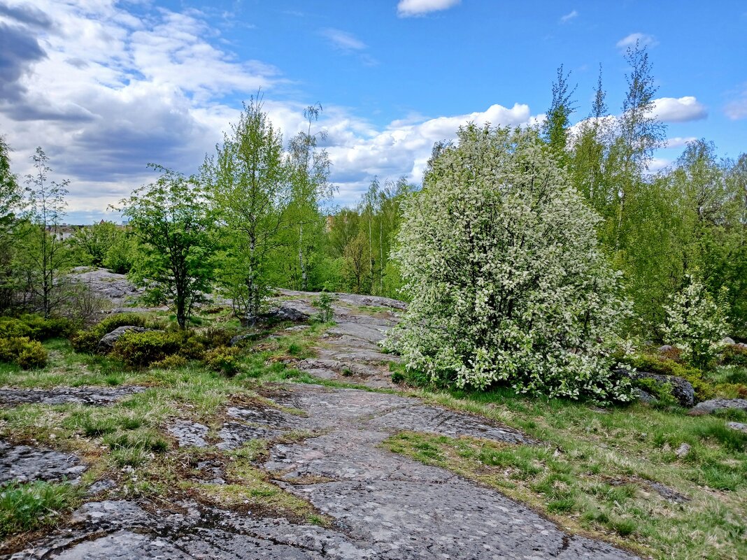 ВПКиО на Батарейной горе. - Лия ☼