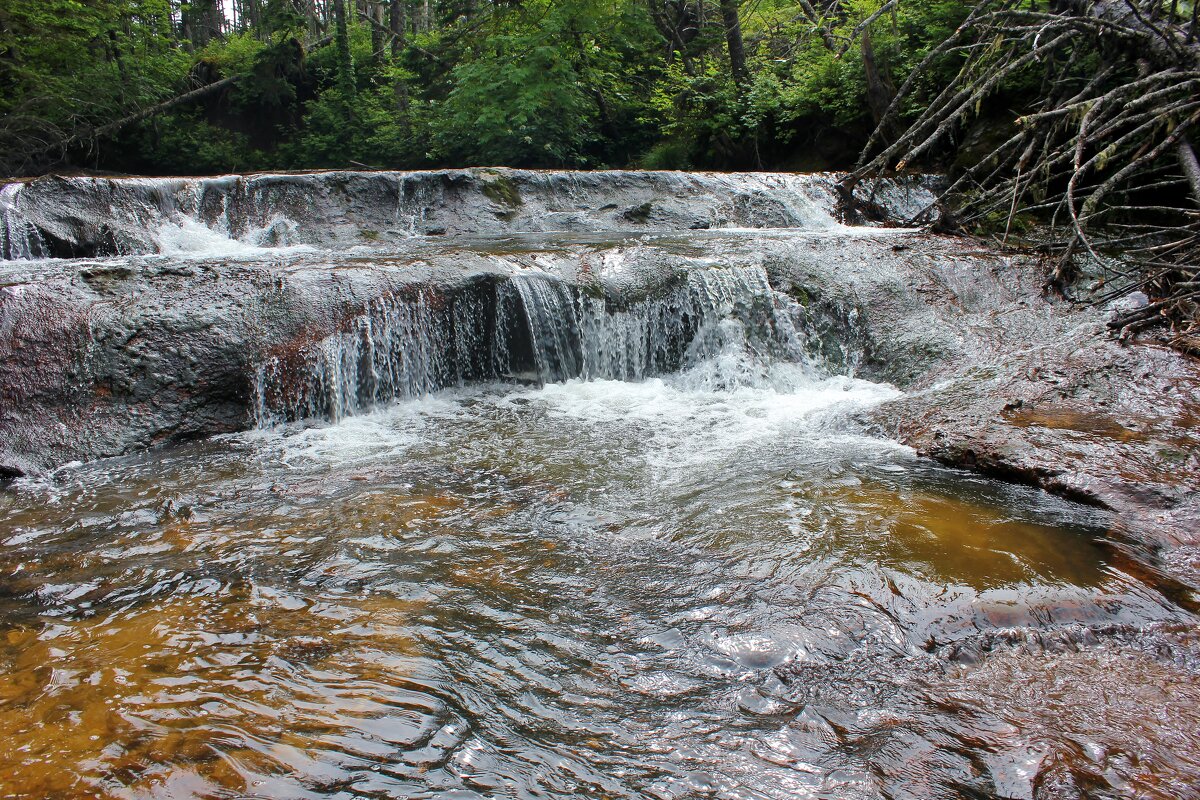 Кислый ручей - Владимир Соколов (svladmir) Кислый ручей - Владимир Соколов (svladmir)