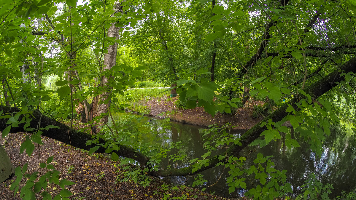 ***** - юрий поляков