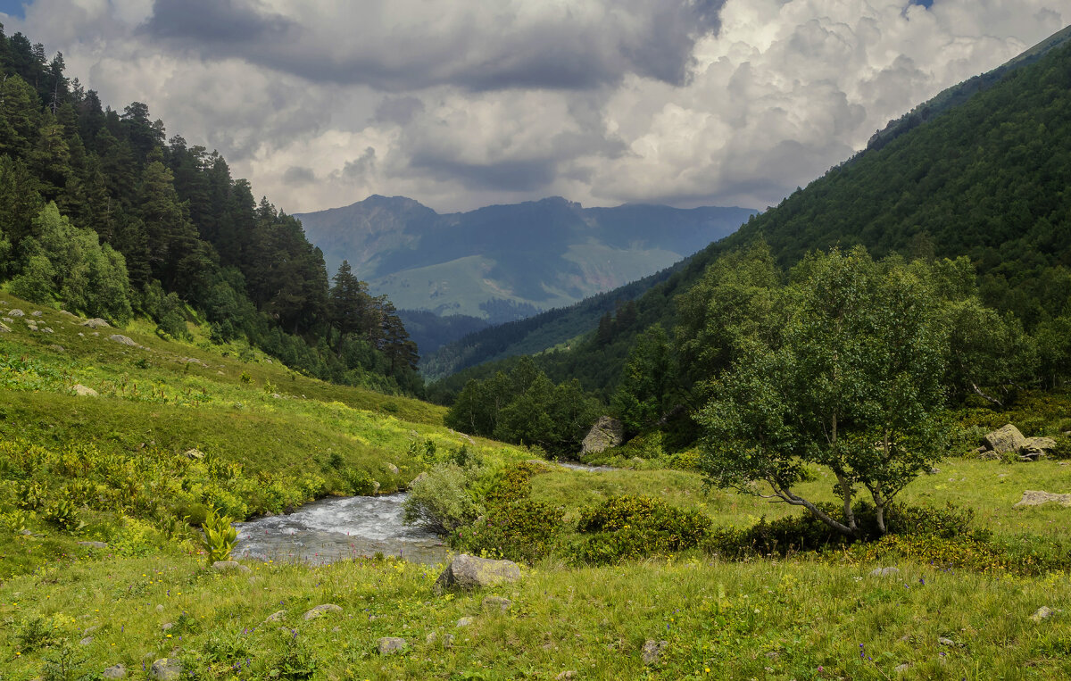 ... - Сергей Лысенко