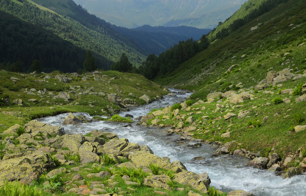 ... - Сергей Лысенко