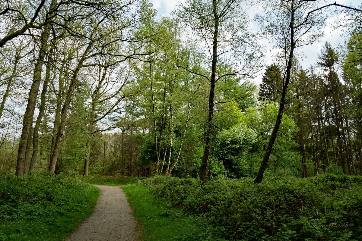 Апрельское... - Николай Гирш