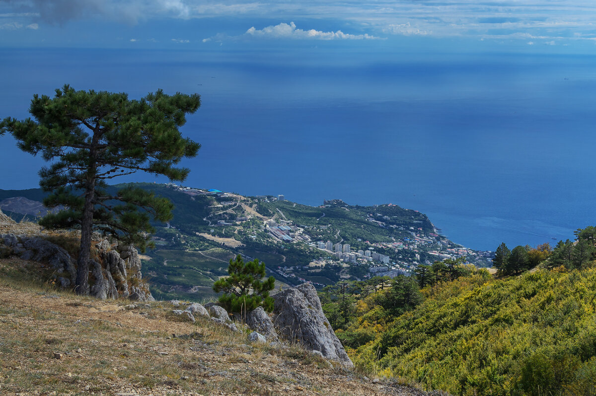 ... - Сергей Лысенко