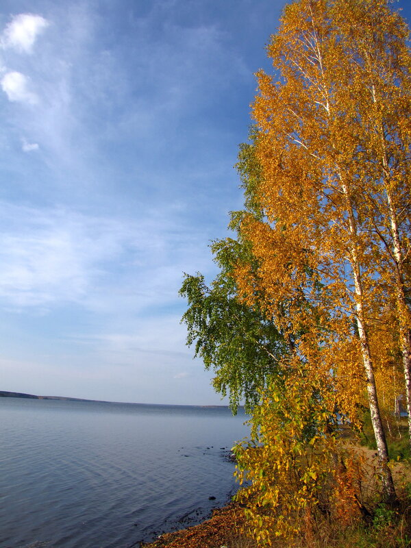 краски осени - Игорь 