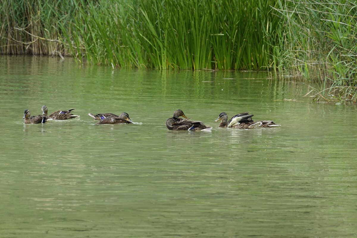 Молодежь... - Галина 