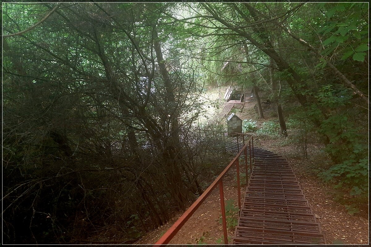К источнику Сергия Радонежского - Сеня Белгородский